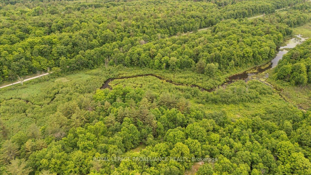 Photo 8 of 2494 Sulphide Road, Tweed, Hungerford (Twp) — HOMEH
