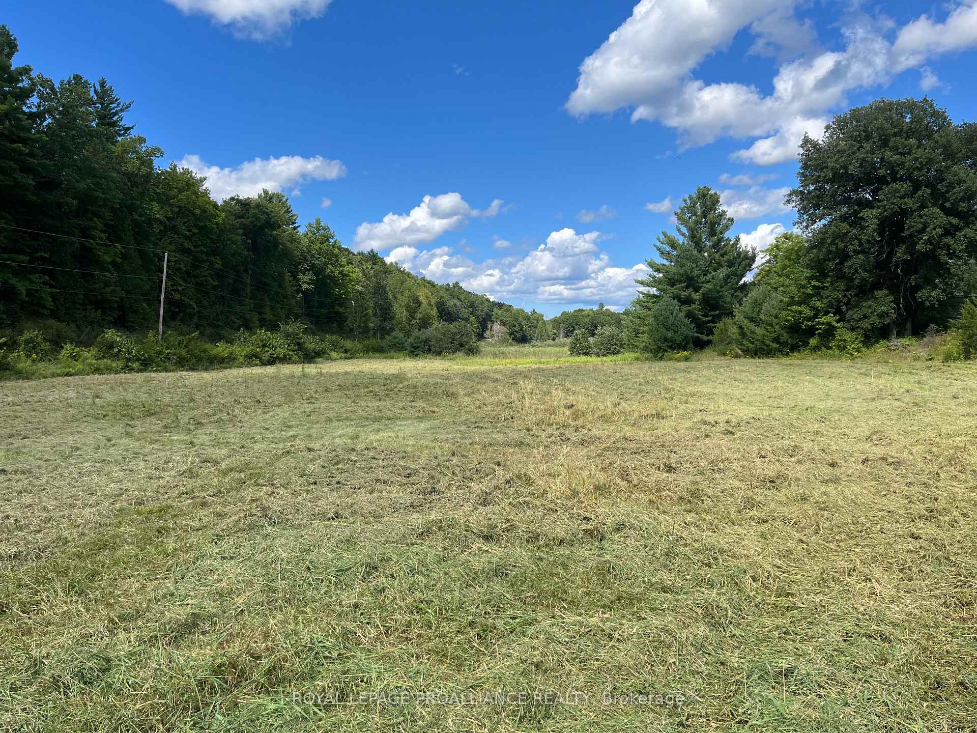 Photo 13 of 2494 Sulphide Road, Tweed, Hungerford (Twp) — HOMEH