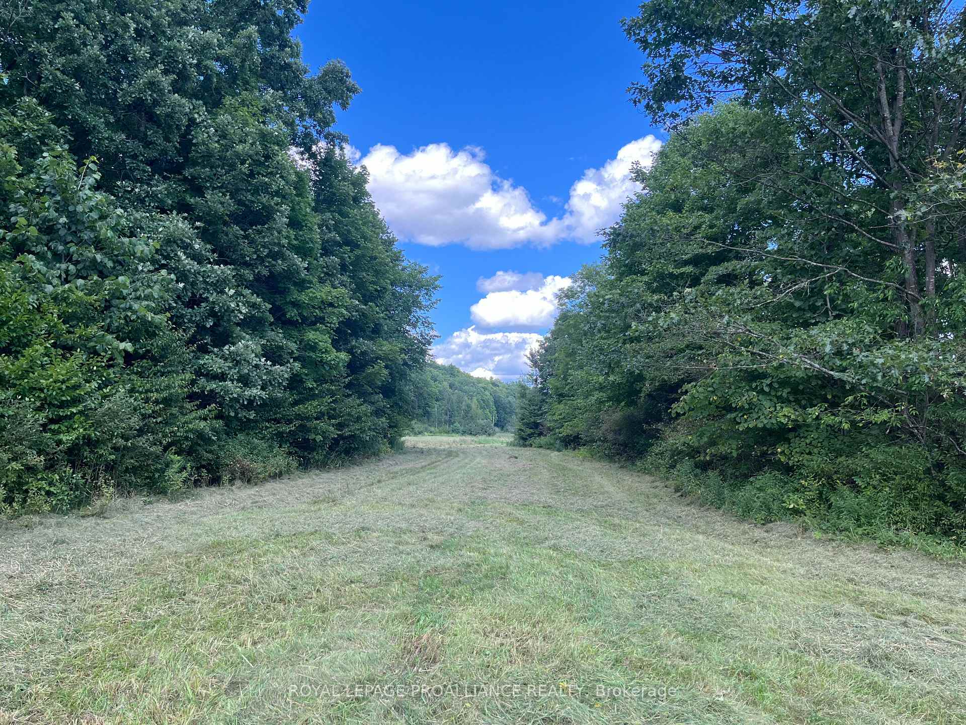 Photo 14 of 2494 Sulphide Road, Tweed, Hungerford (Twp) — HOMEH