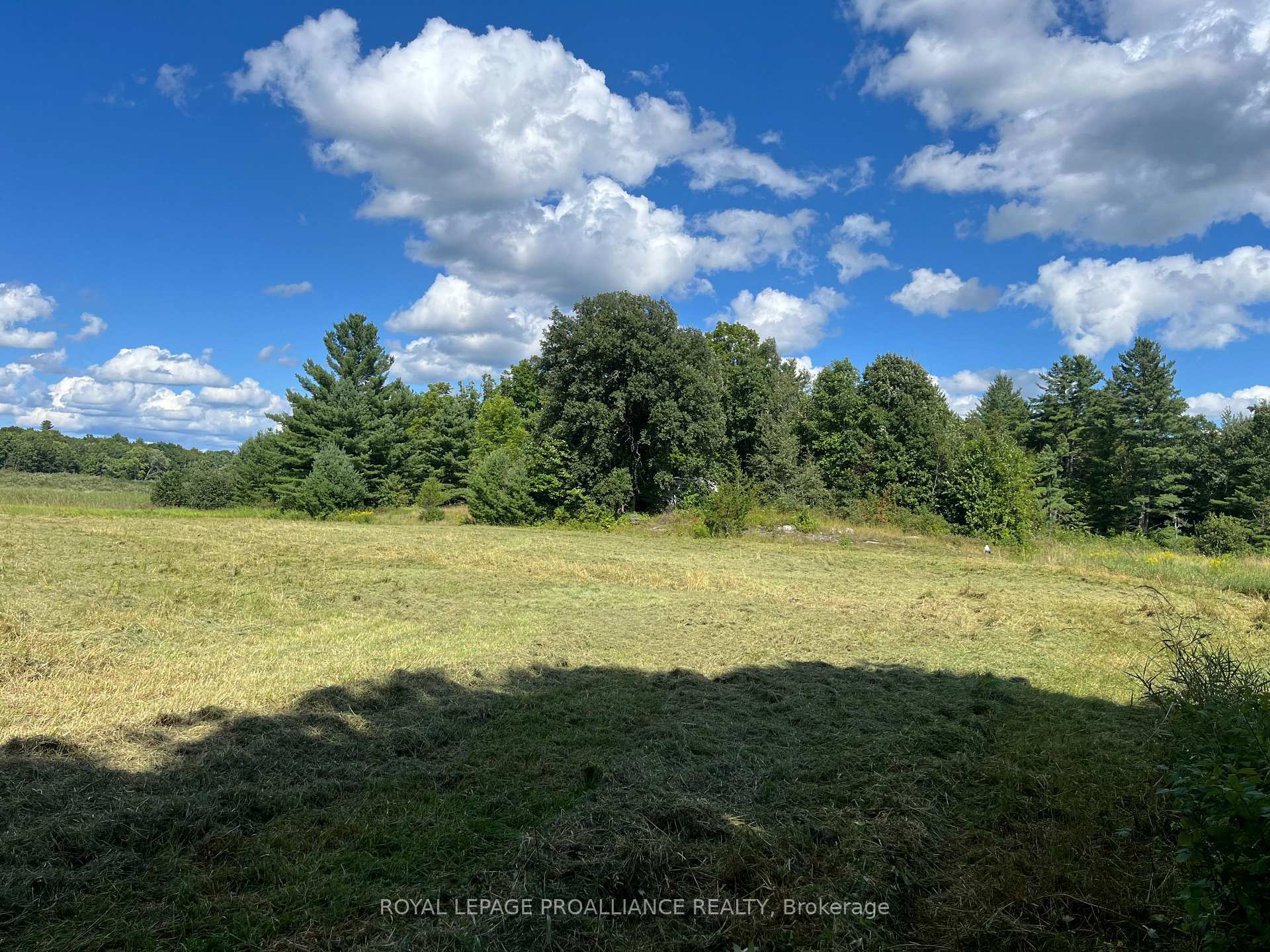Photo 16 of 2494 Sulphide Road, Tweed, Hungerford (Twp) — HOMEH