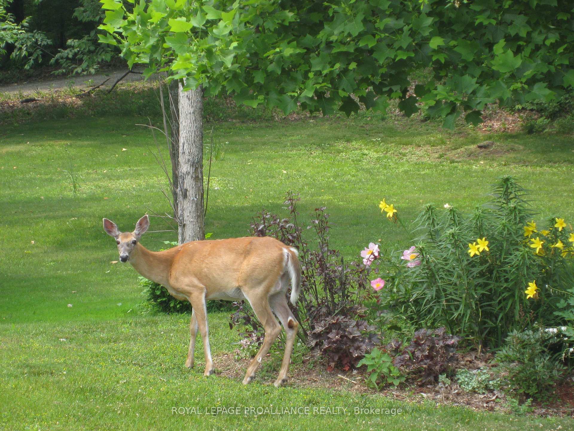 Photo 43 of 11 Heffernan Road, Athens, R of Yonge & Escott Twp — HOMEH
