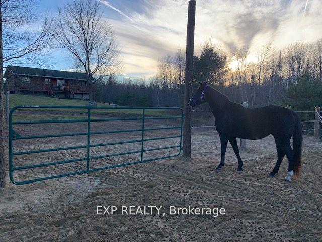 Photo 28 of 1469 Queensborough Road, Tweed, Elzevir (Twp) — HOMEH