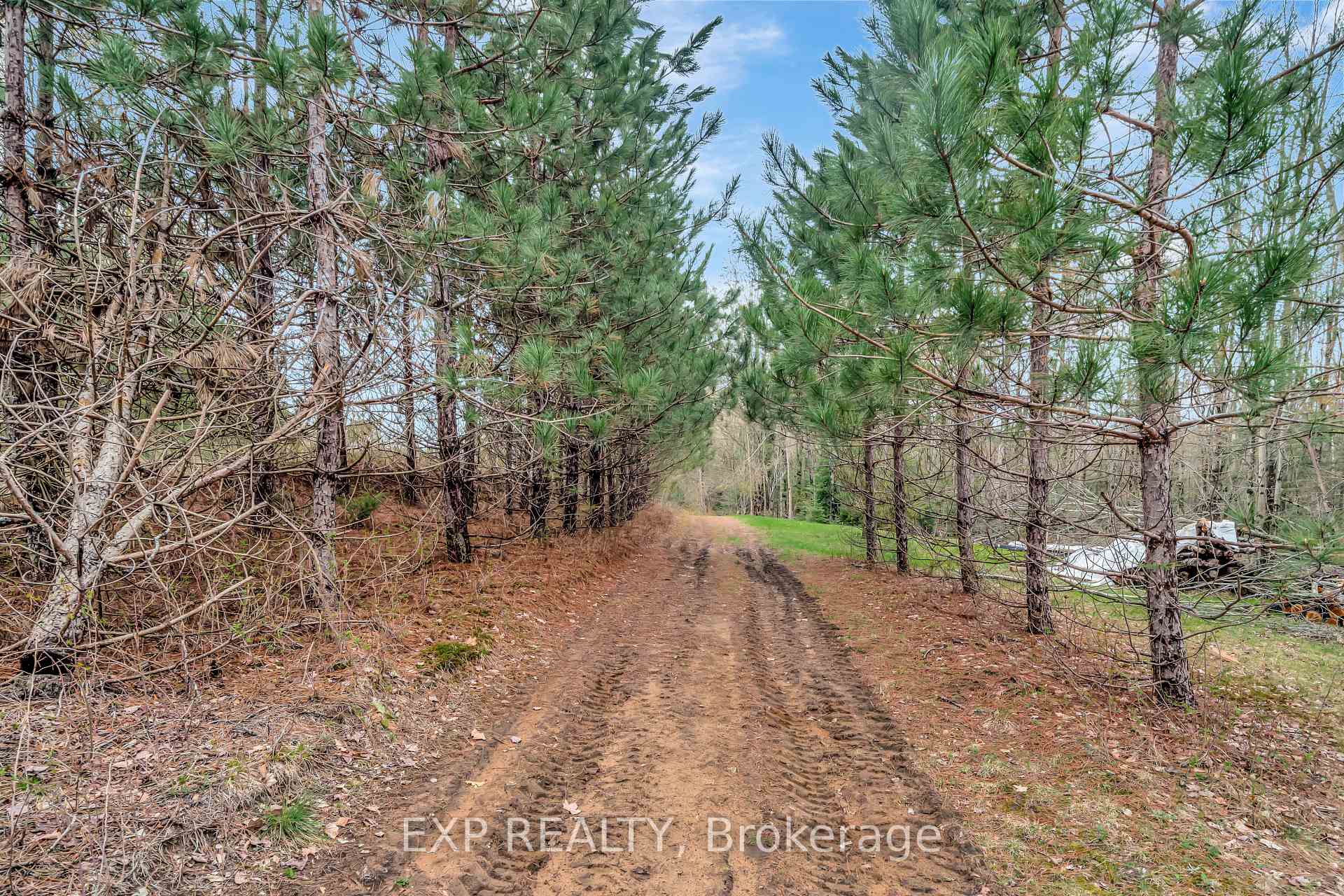 Photo 42 of 1469 Queensborough Road, Tweed, Elzevir (Twp) — HOMEH