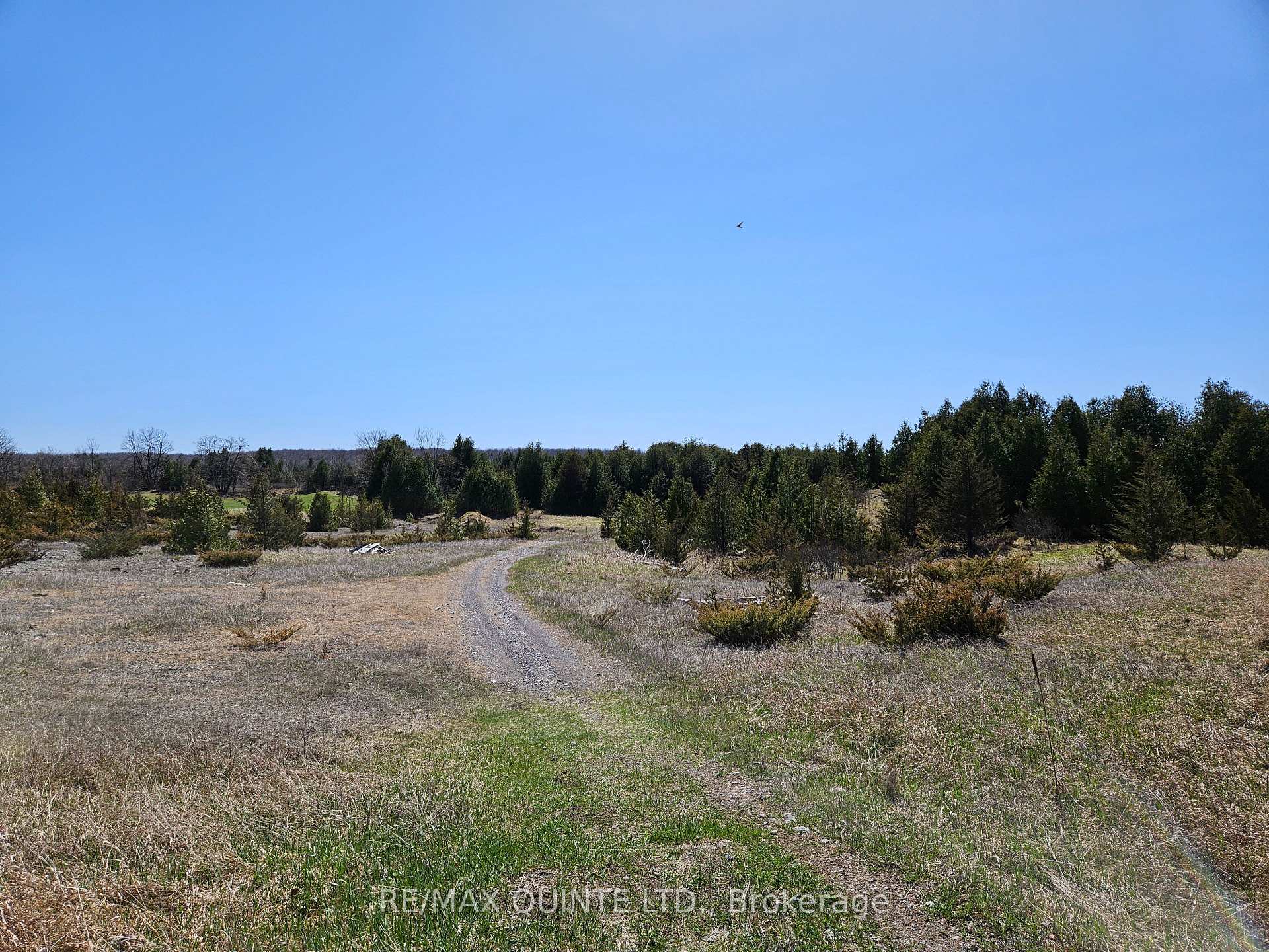 Photo 31 of 63 Horrigan Road, Tweed, Hungerford (Twp) — HOMEH