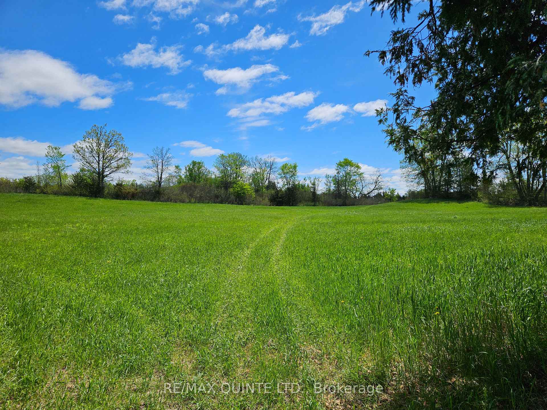 Photo 33 of 63 Horrigan Road, Tweed, Hungerford (Twp) — HOMEH