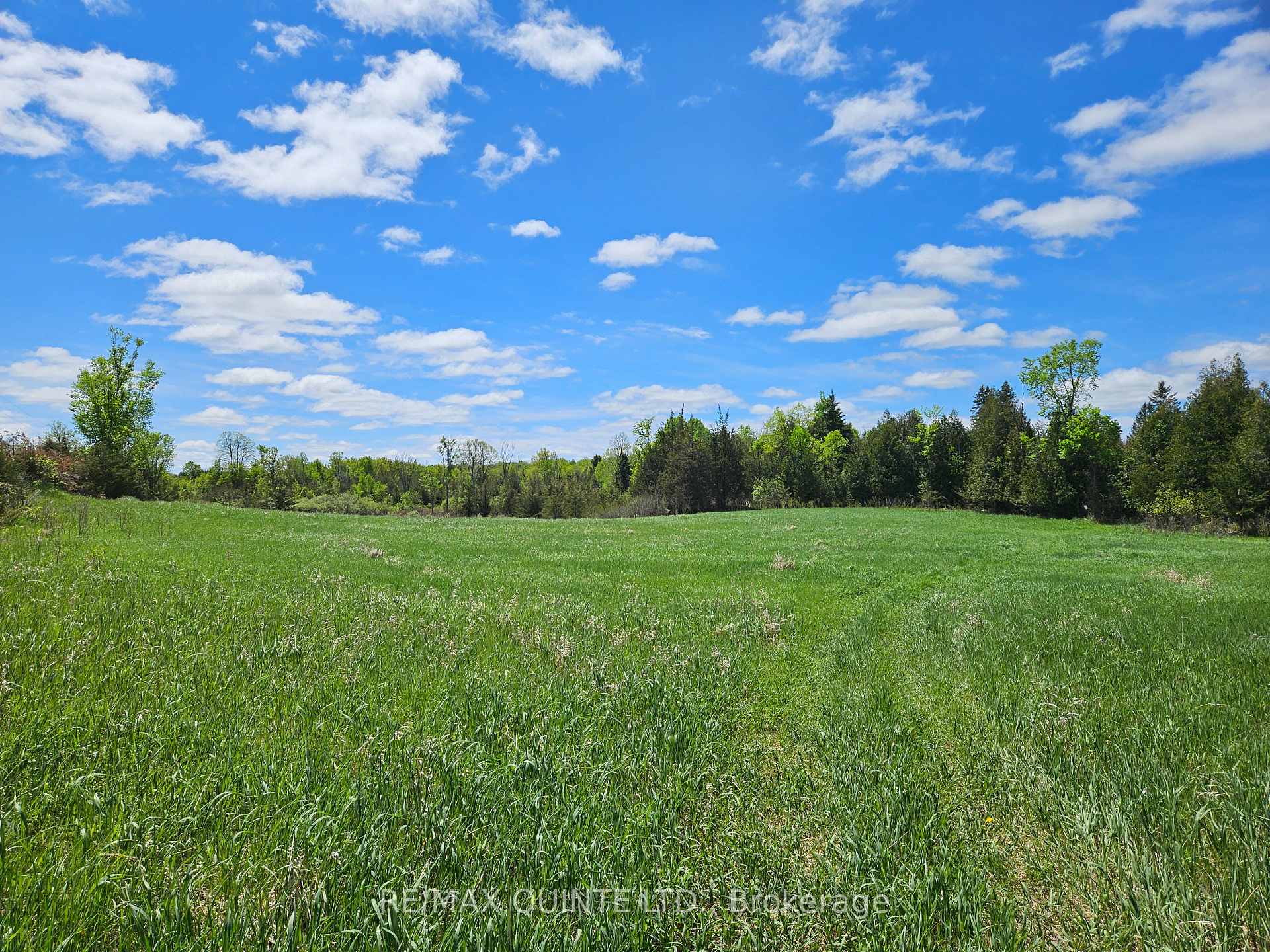 Photo 34 of 63 Horrigan Road, Tweed, Hungerford (Twp) — HOMEH