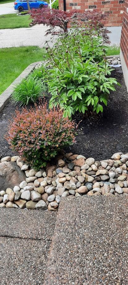 Photo 5 of 58 Zinkann Crescent, Wellesley — HOMEH