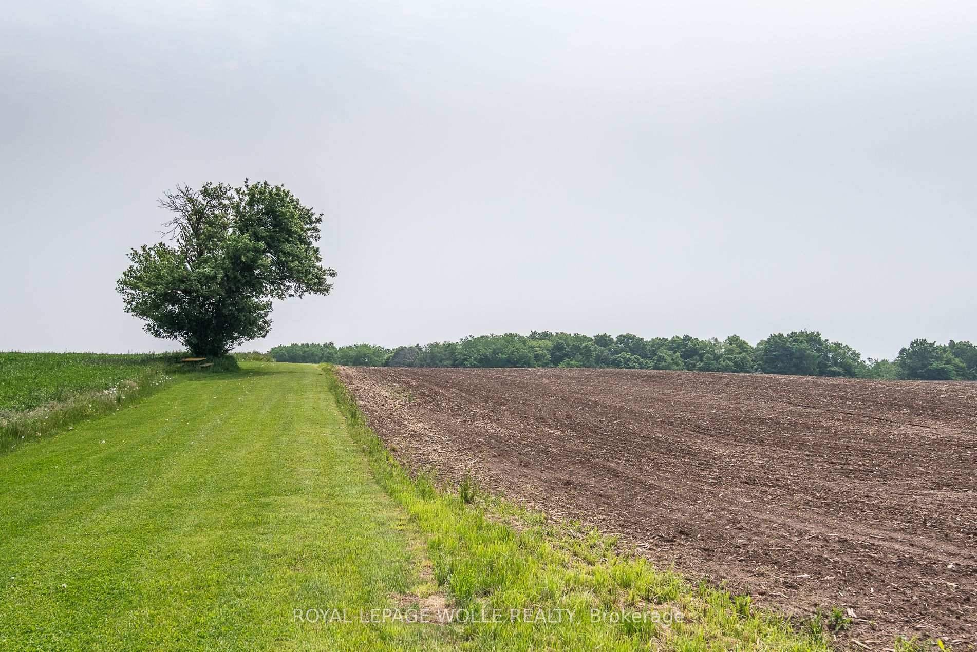 Photo 18 of 4385 Hessen Strasse, Wellesley — HOMEH