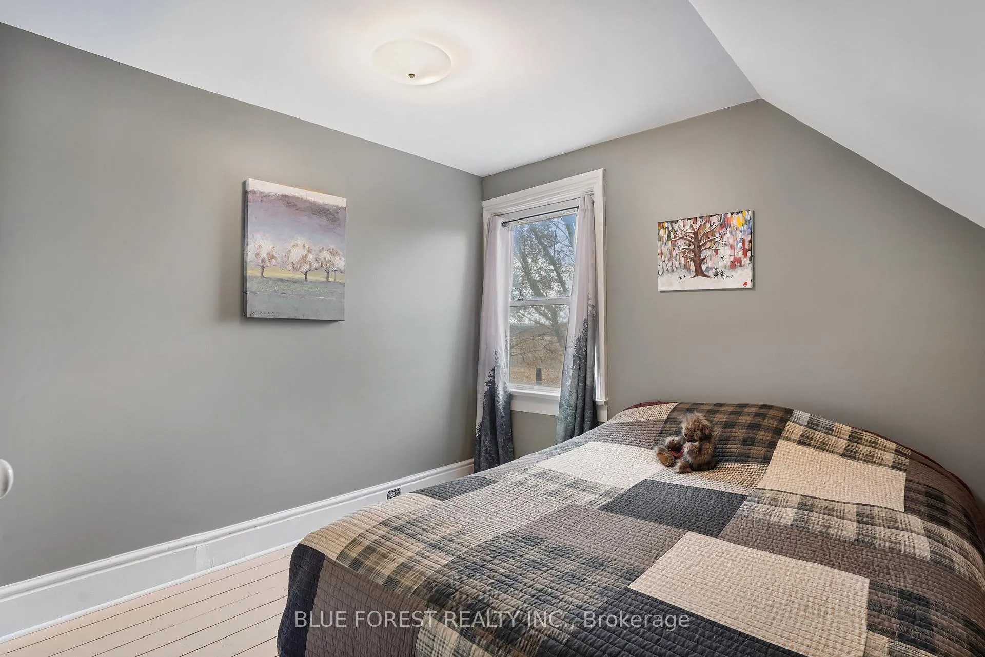 Photo 27 of 136 Furnival Road, West Elgin, Rodney — HOMEH