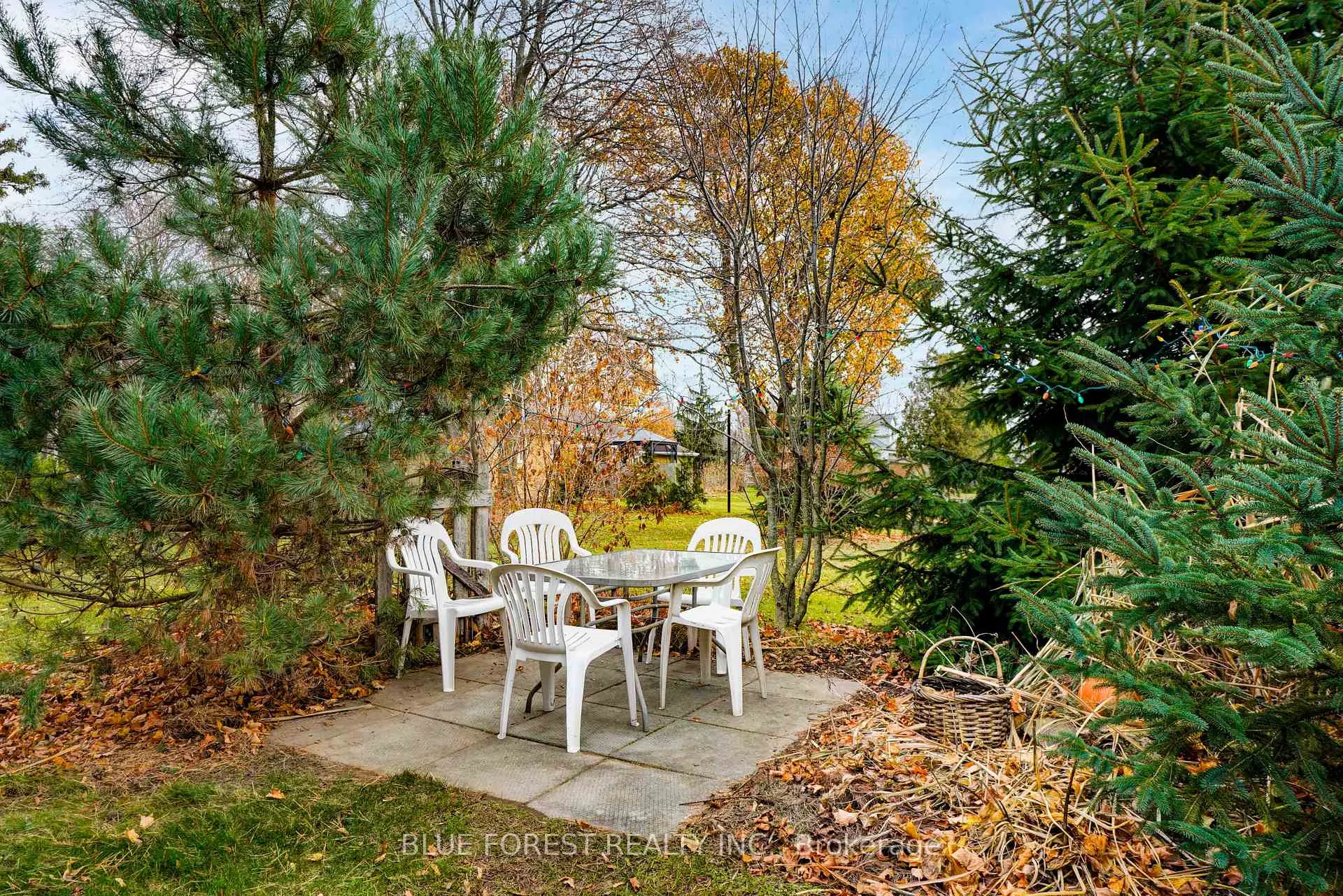 Photo 47 of 136 Furnival Road, West Elgin, Rodney — HOMEH