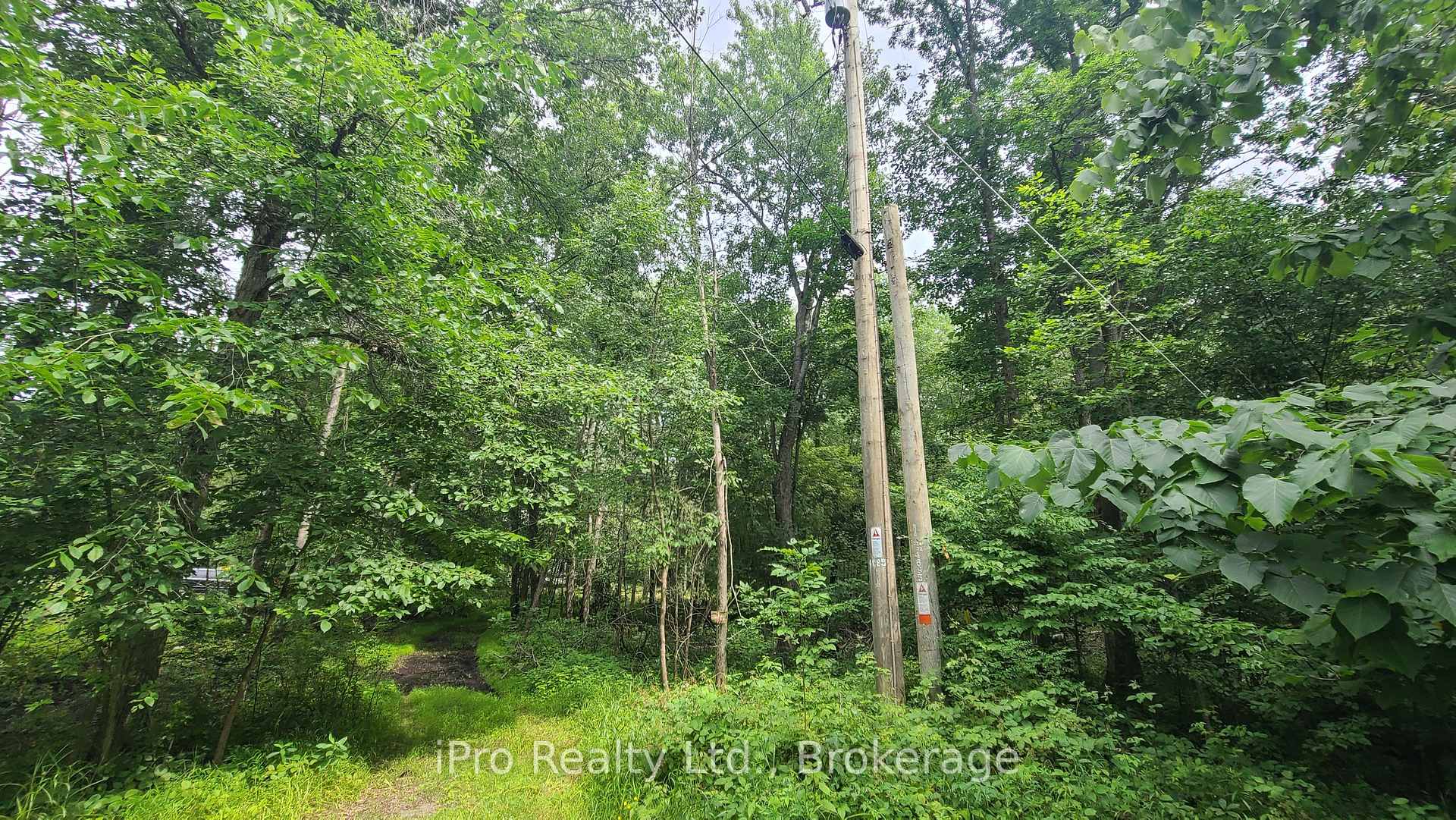 Photo 14 of 244 Trillium Lane, Tweed, Hungerford (Twp) — HOMEH