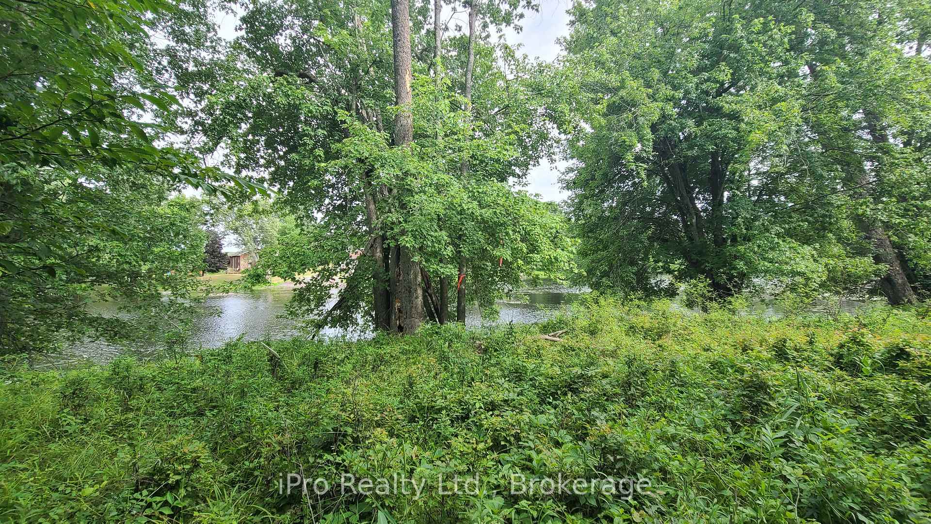 Photo 15 of 244 Trillium Lane, Tweed, Hungerford (Twp) — HOMEH