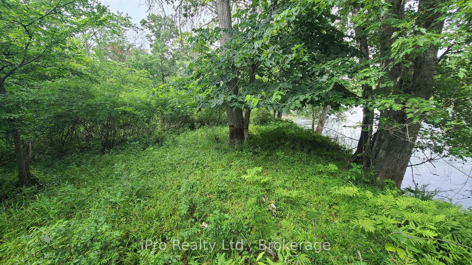 Photo 17 of 244 Trillium Lane, Tweed, Hungerford (Twp) — HOMEH