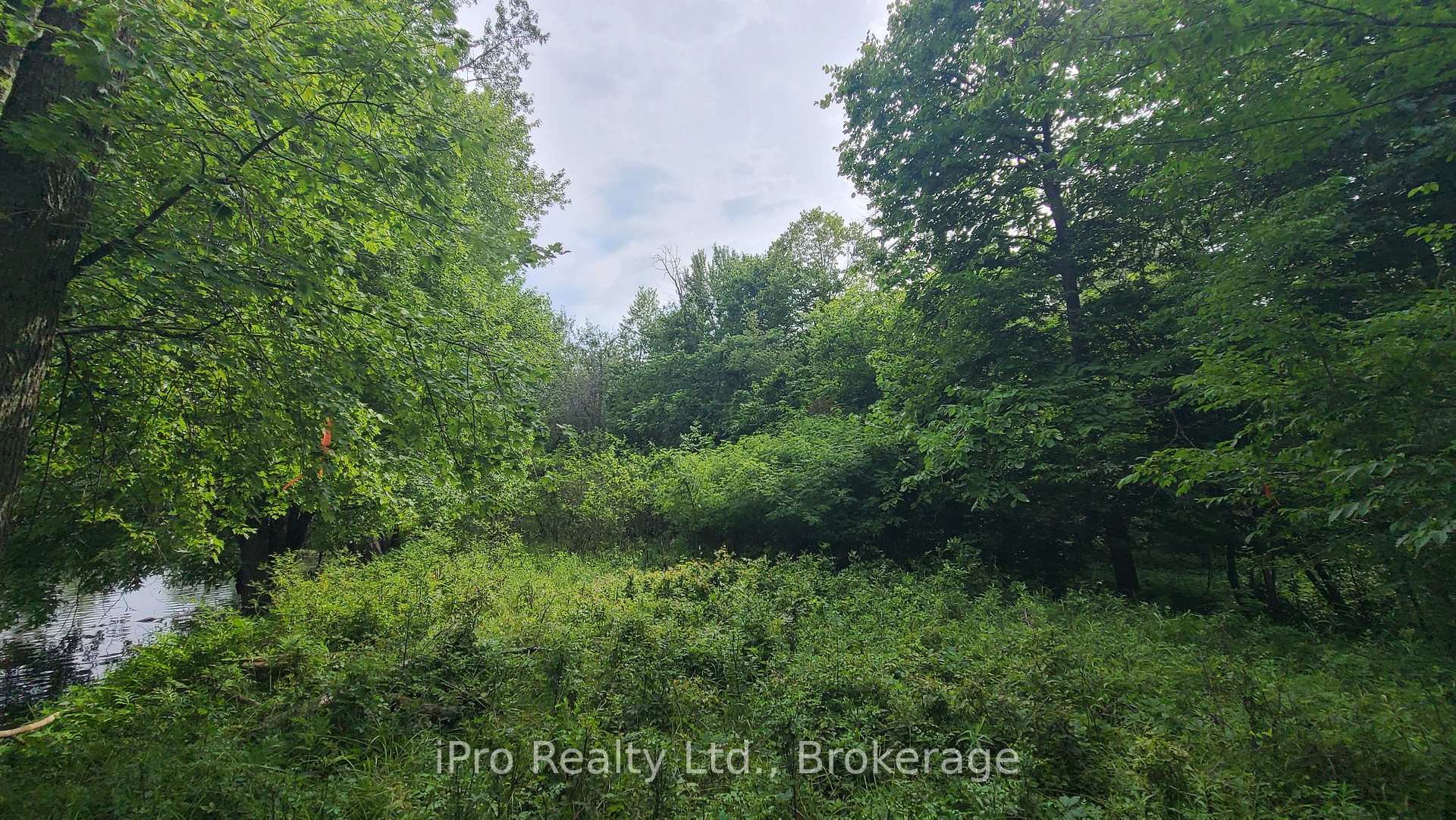 Photo 19 of 244 Trillium Lane, Tweed, Hungerford (Twp) — HOMEH