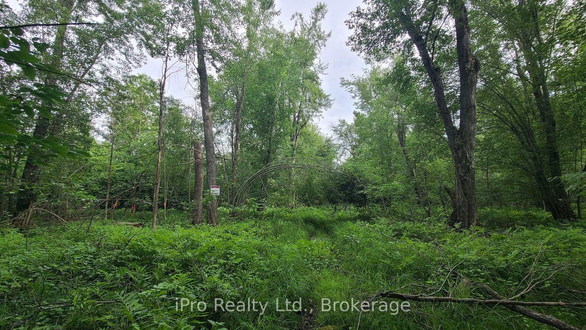 Photo 25 of 244 Trillium Lane, Tweed, Hungerford (Twp) — HOMEH