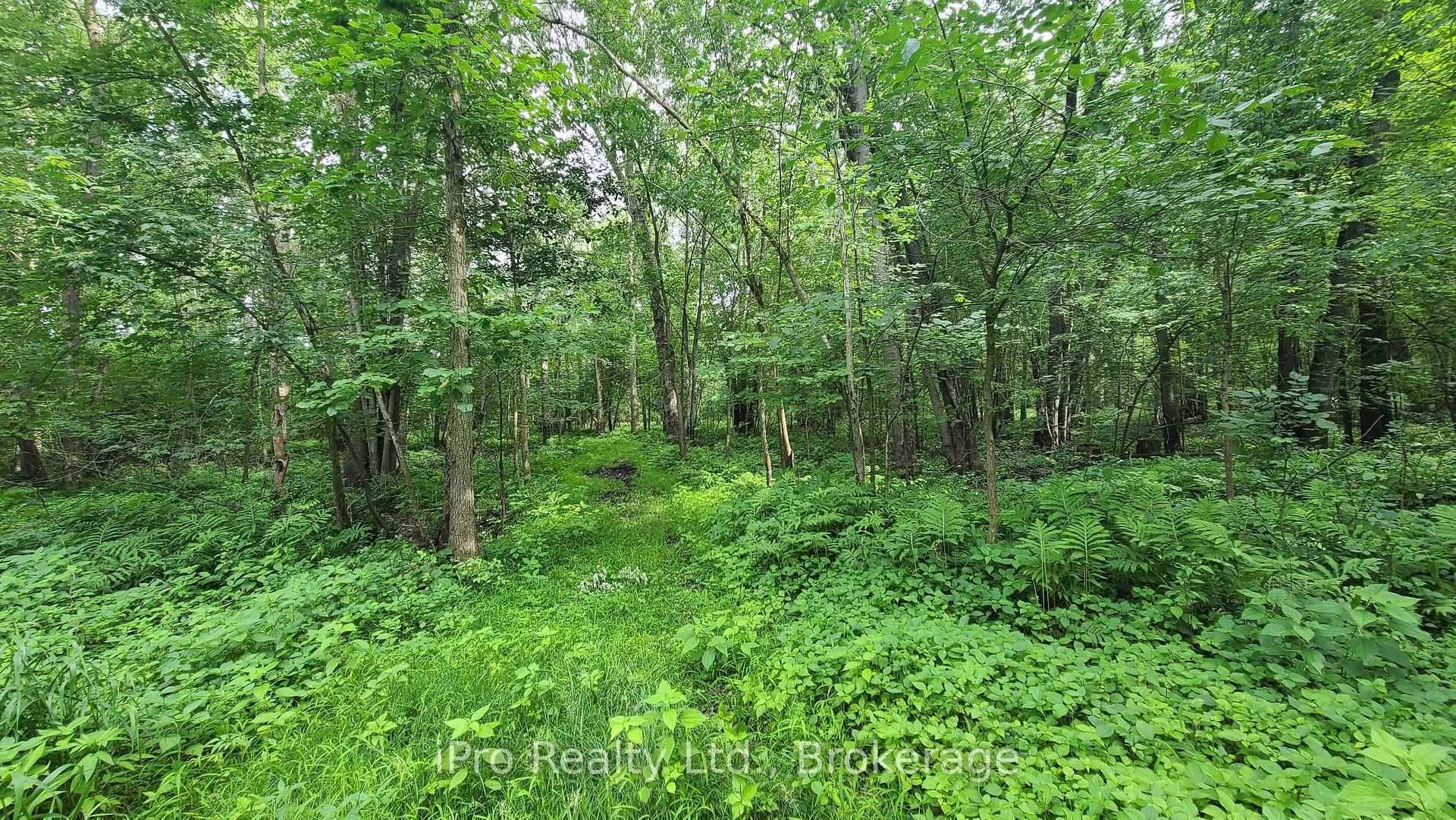 Photo 26 of 244 Trillium Lane, Tweed, Hungerford (Twp) — HOMEH
