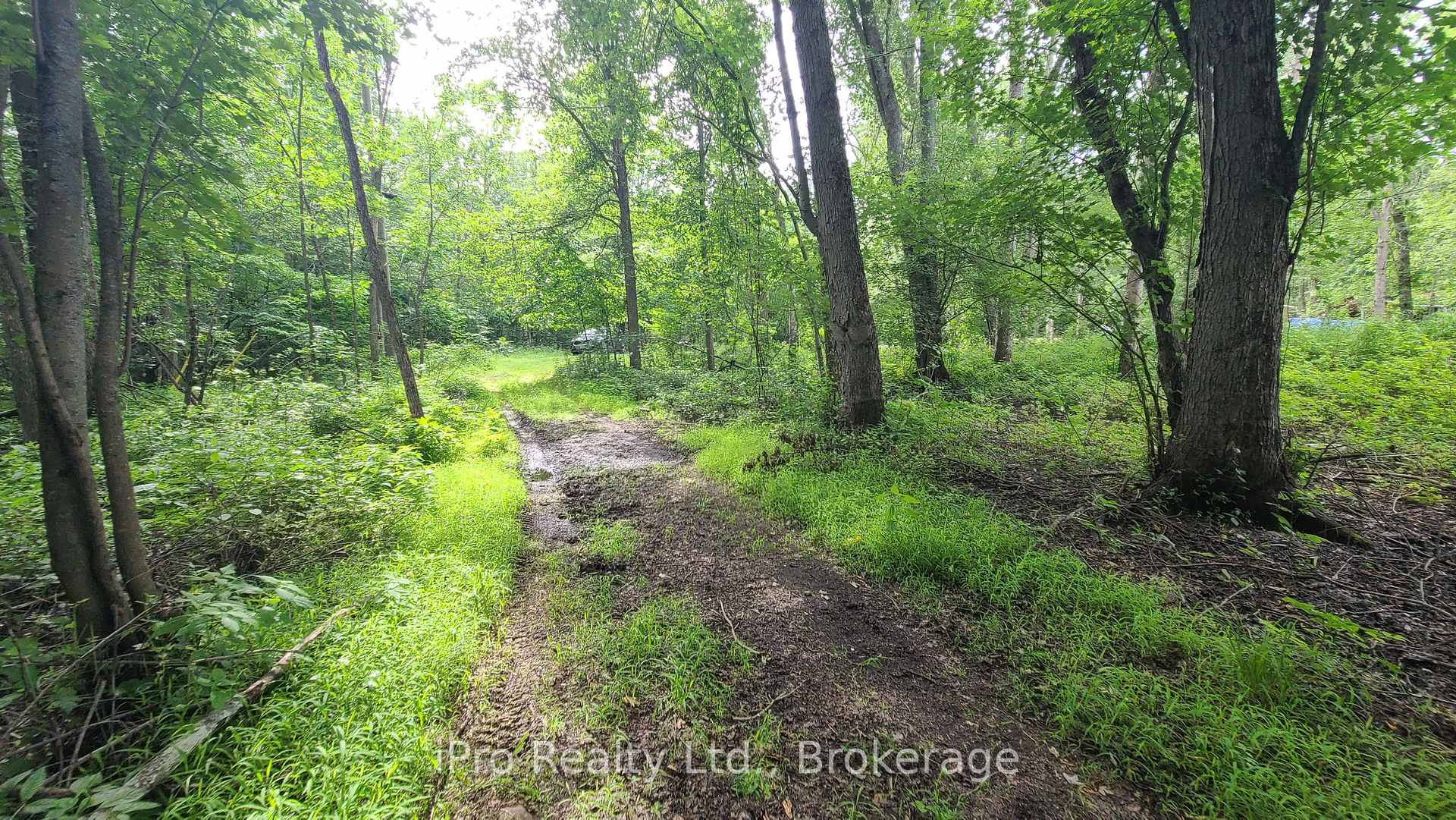 Photo 27 of 244 Trillium Lane, Tweed, Hungerford (Twp) — HOMEH