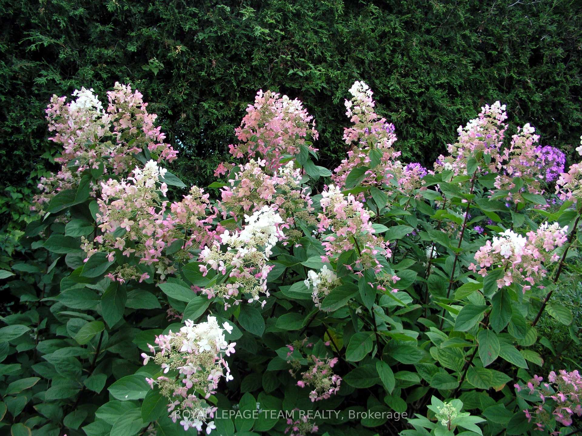 Photo 33 of 638 Coronation Avenue, Ottawa, Riverview Park — HOMEH
