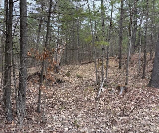 Photo 1 of 325 Bridgewater Road, Tweed, Hungerford (Twp) — HOMEH