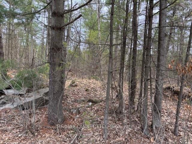 Photo 3 of 325 Bridgewater Road, Tweed, Hungerford (Twp) — HOMEH