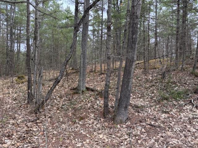 Photo 4 of 325 Bridgewater Road, Tweed, Hungerford (Twp) — HOMEH