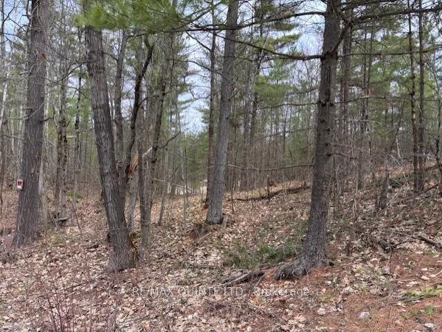 Photo 5 of 325 Bridgewater Road, Tweed, Hungerford (Twp) — HOMEH