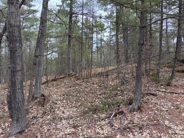Photo 6 of 325 Bridgewater Road, Tweed, Hungerford (Twp) — HOMEH