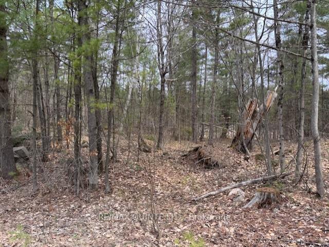 Photo 7 of 325 Bridgewater Road, Tweed, Hungerford (Twp) — HOMEH
