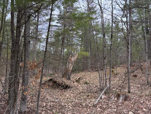 Photo 8 of 325 Bridgewater Road, Tweed, Hungerford (Twp) — HOMEH