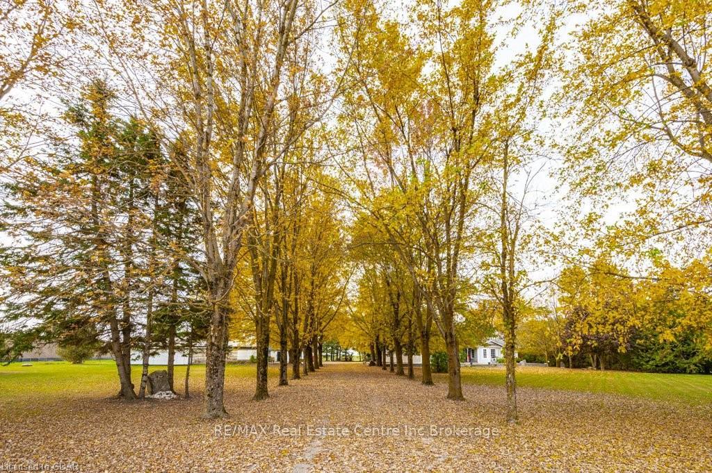 Photo 4 of 7416 Third Line, Wellington North, Rural Wellington North — HOMEH