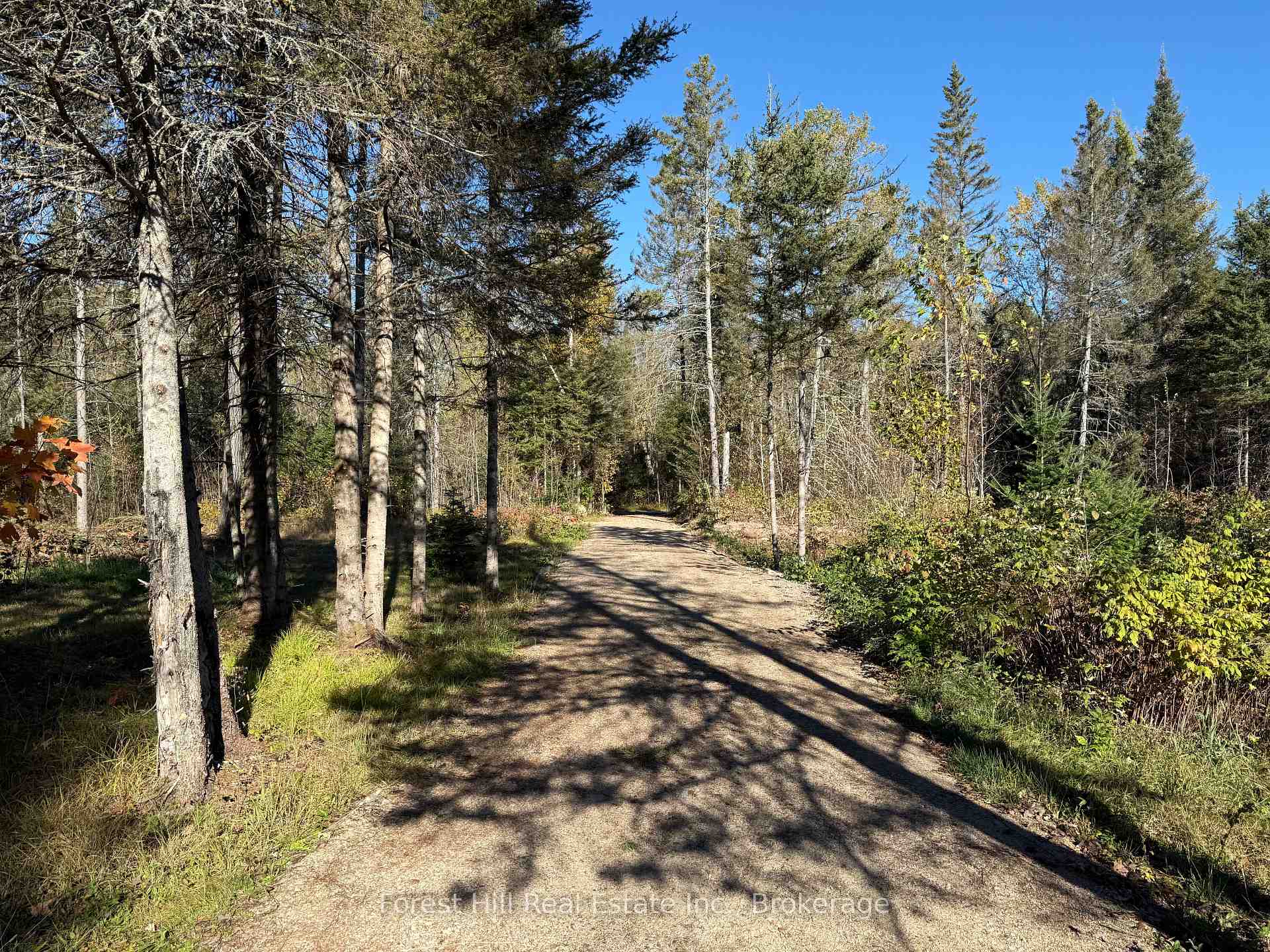 Front of 789 Pickerel & Jack Lake Road