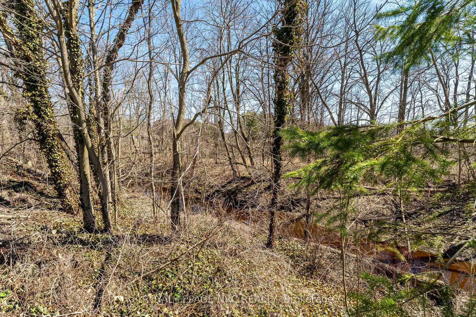 Photo 44 of 41751 Mill Race Road, Wainfleet, Marshville/Winger — HOMEH