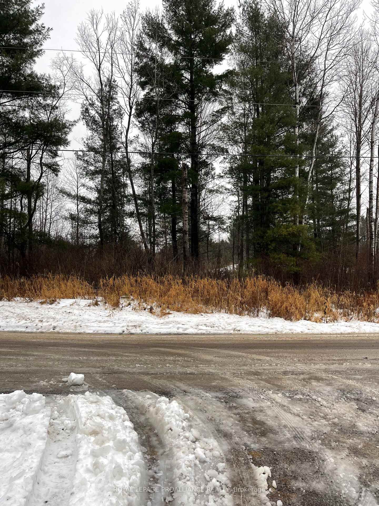 Front of 000 Otter Creek Road