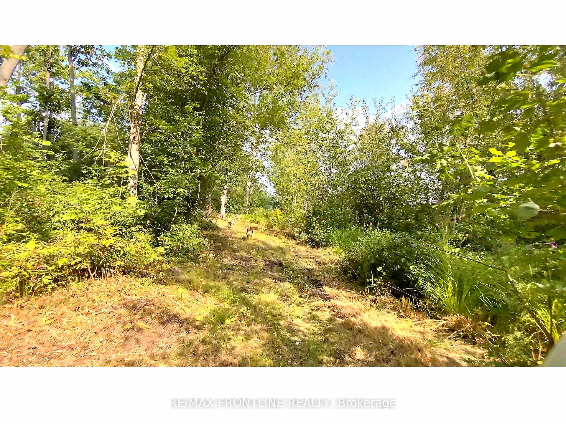 Photo 19 of 167 Marlbank Road, Tweed, Hungerford (Twp) — HOMEH
