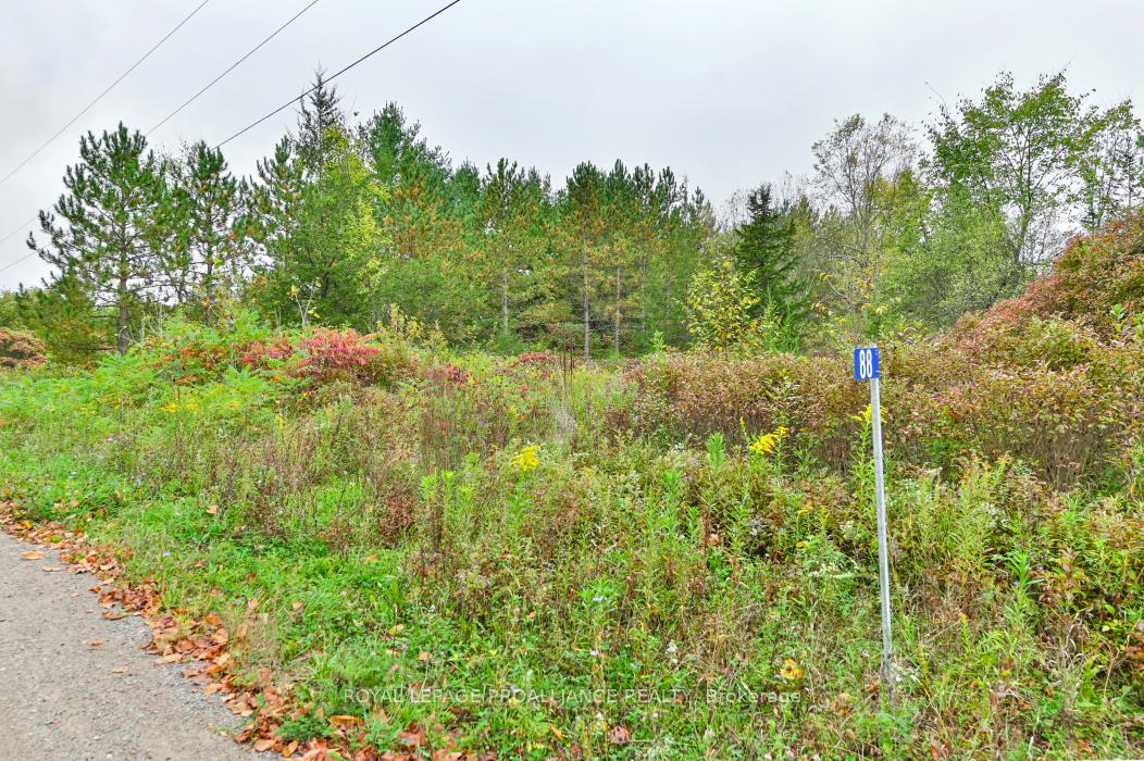 Photo 1 of 88 Conchie Road, Tweed, Hungerford (Twp) — HOMEH