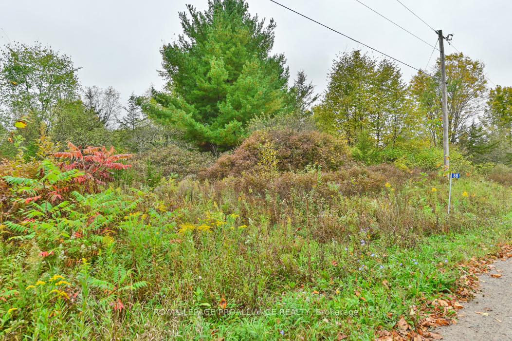Photo 3 of 88 Conchie Road, Tweed, Hungerford (Twp) — HOMEH