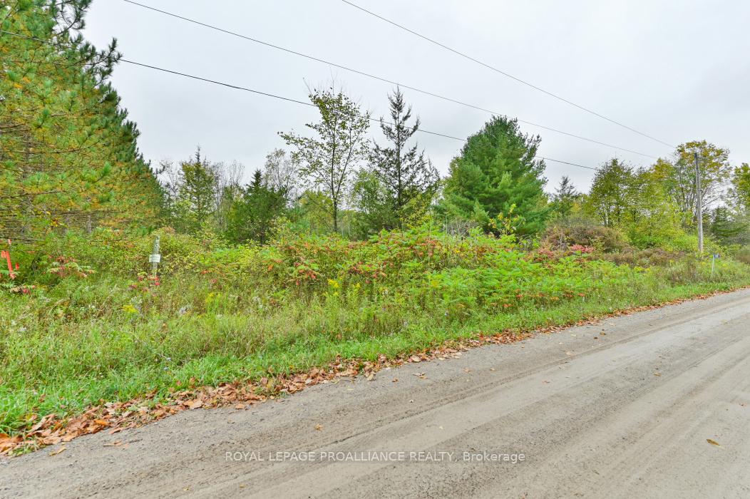 Photo 4 of 88 Conchie Road, Tweed, Hungerford (Twp) — HOMEH
