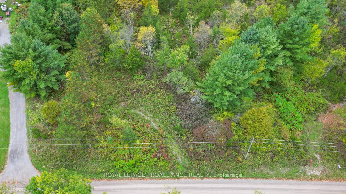 Photo 5 of 88 Conchie Road, Tweed, Hungerford (Twp) — HOMEH