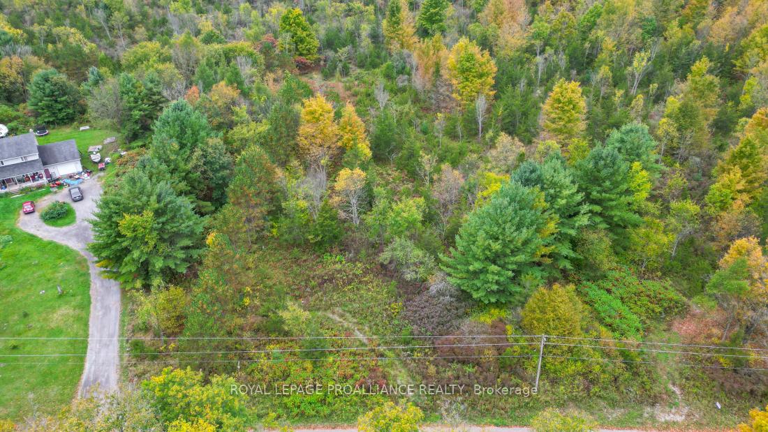 Photo 6 of 88 Conchie Road, Tweed, Hungerford (Twp) — HOMEH