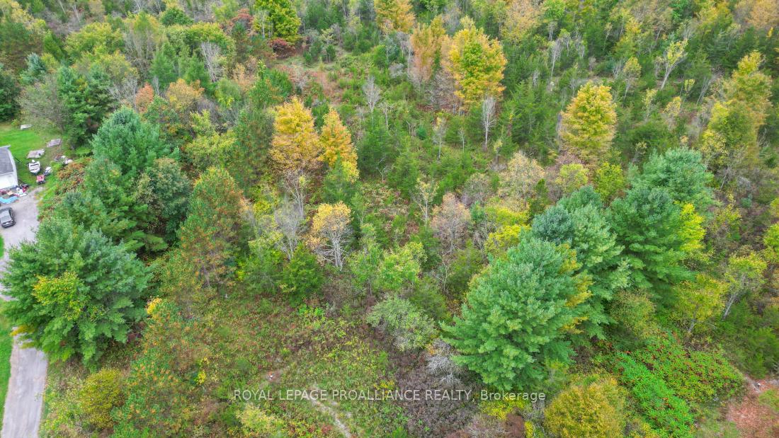Photo 7 of 88 Conchie Road, Tweed, Hungerford (Twp) — HOMEH