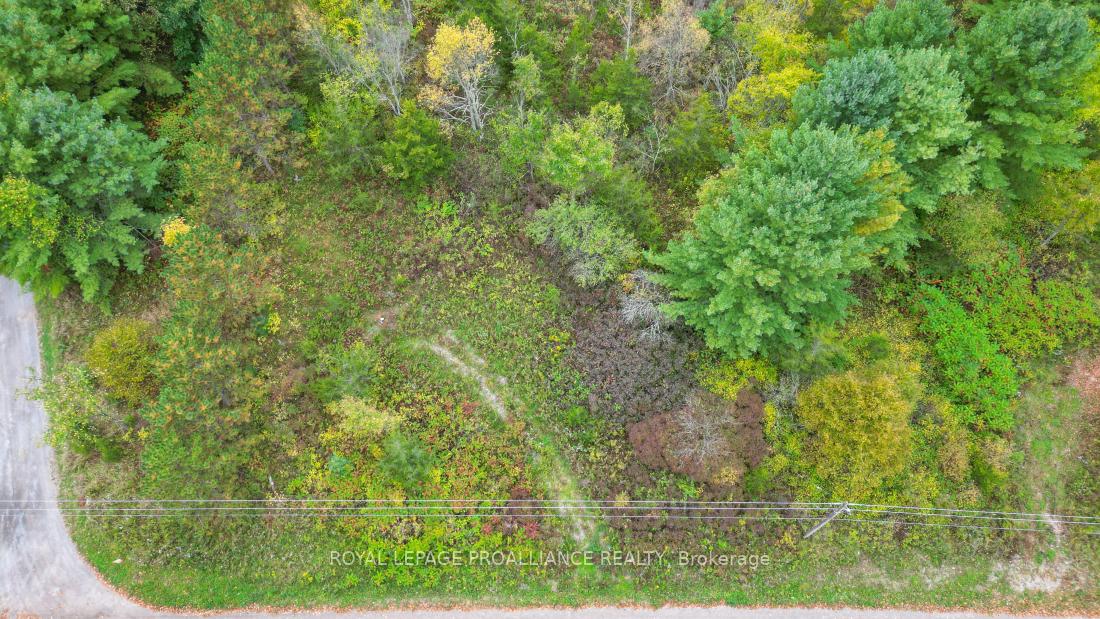 Photo 8 of 88 Conchie Road, Tweed, Hungerford (Twp) — HOMEH