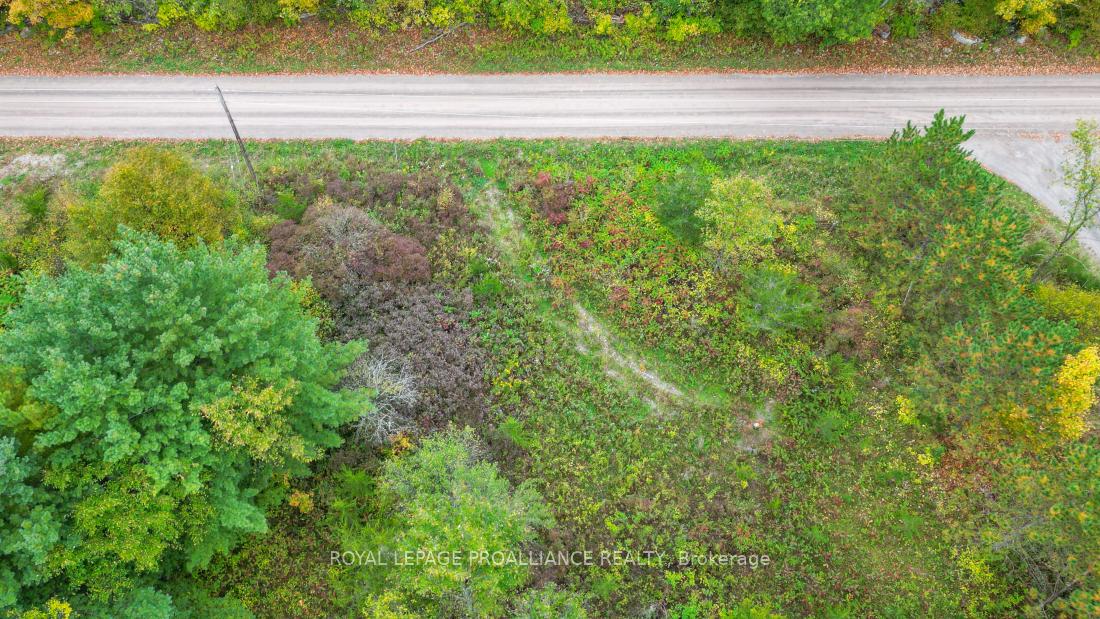 Photo 9 of 88 Conchie Road, Tweed, Hungerford (Twp) — HOMEH