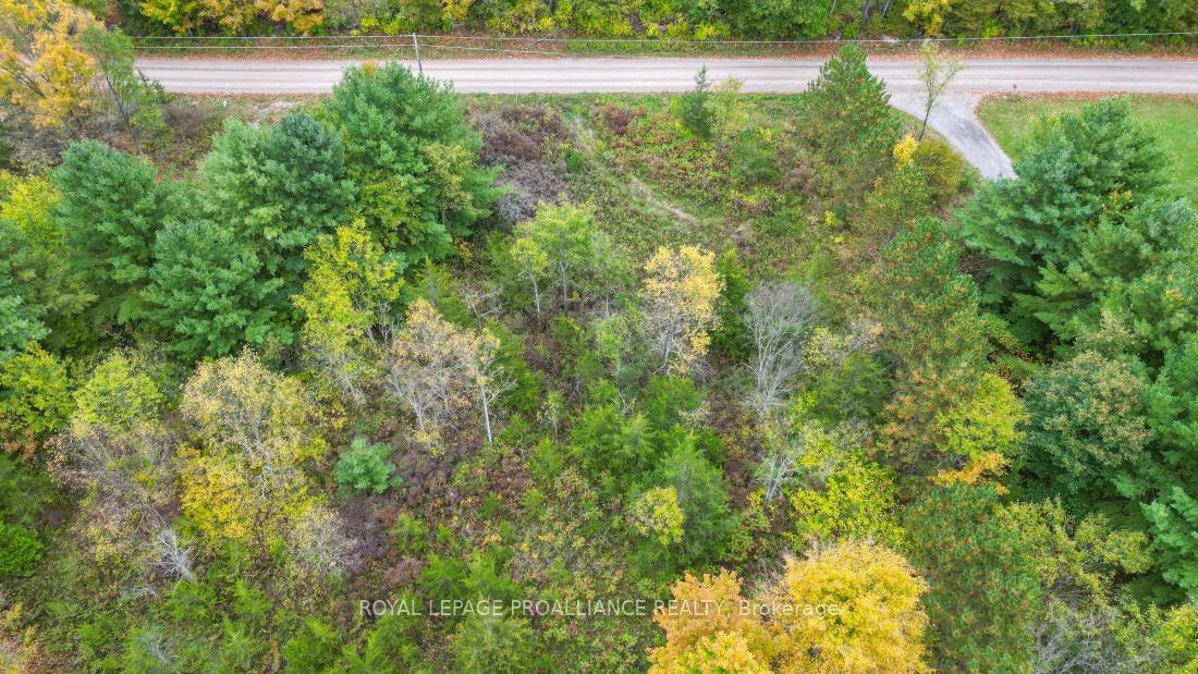 Photo 10 of 88 Conchie Road, Tweed, Hungerford (Twp) — HOMEH