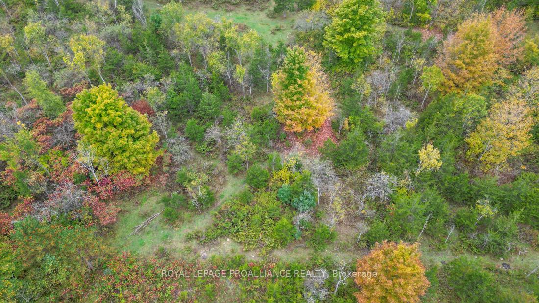 Photo 12 of 88 Conchie Road, Tweed, Hungerford (Twp) — HOMEH