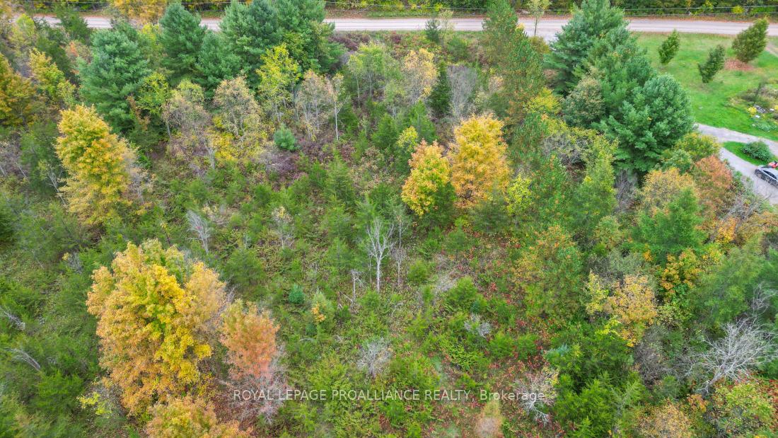 Photo 13 of 88 Conchie Road, Tweed, Hungerford (Twp) — HOMEH