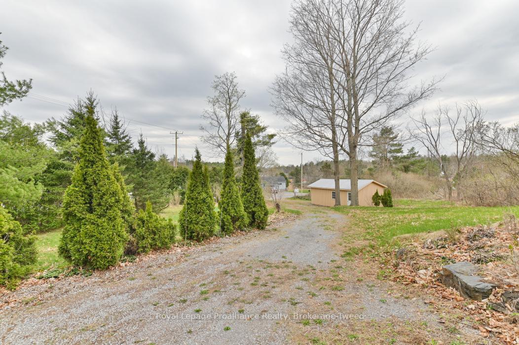 Photo 43 of 8541 Highway 37, Tweed, Elzevir (Twp) — HOMEH
