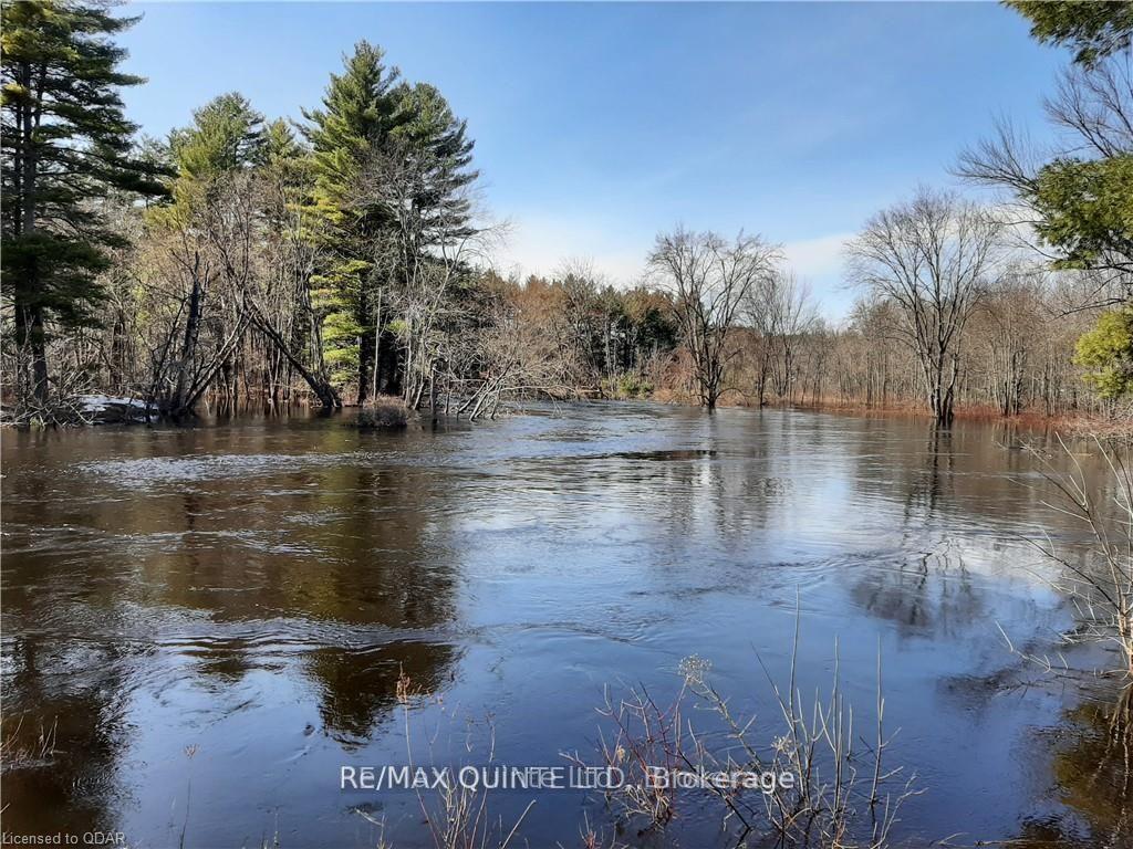 Photo 5 of 8187 Hwy 37, Tweed, Hungerford (Twp) — HOMEH