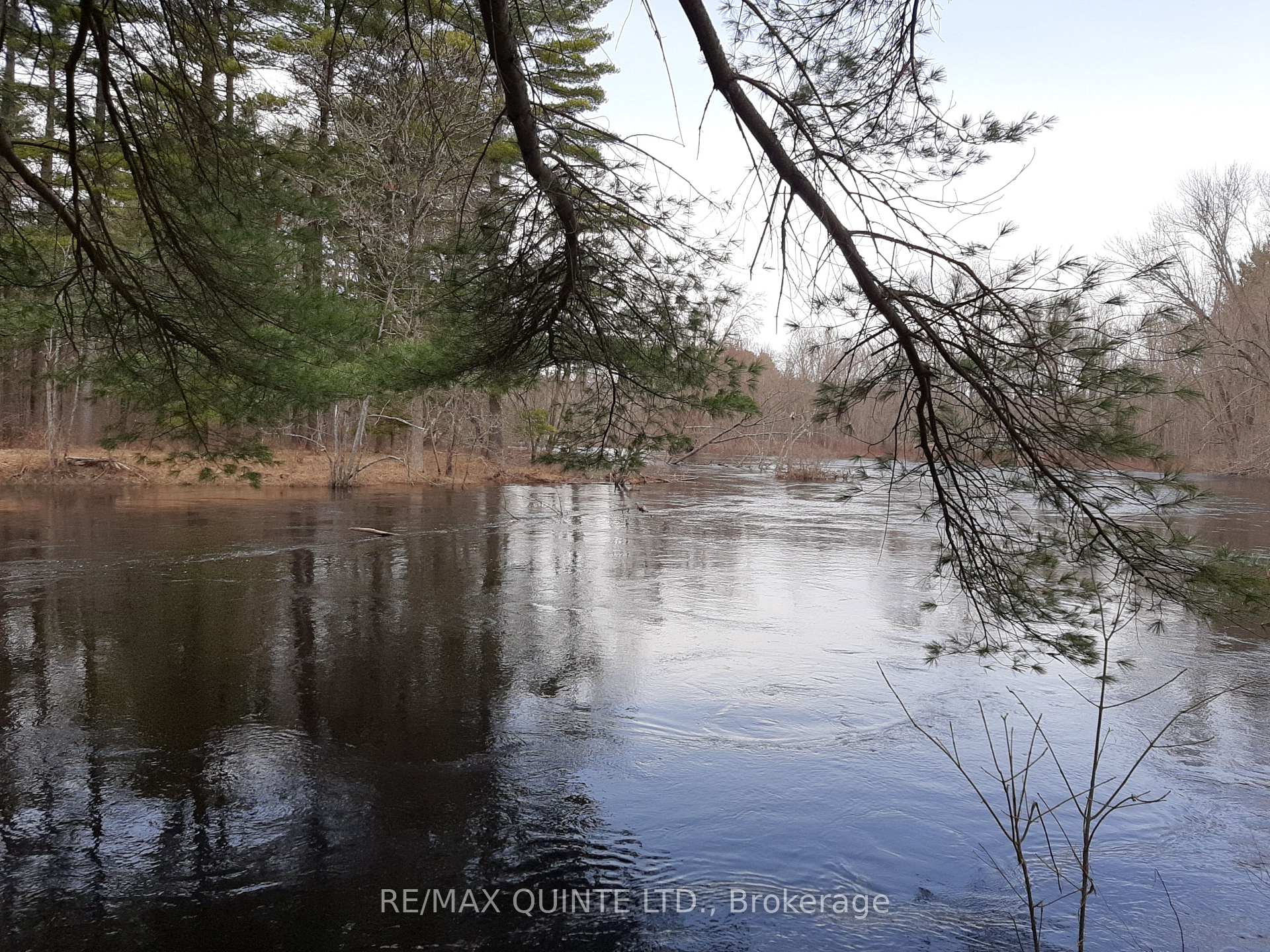 Photo 6 of 8187 Hwy 37, Tweed, Hungerford (Twp) — HOMEH