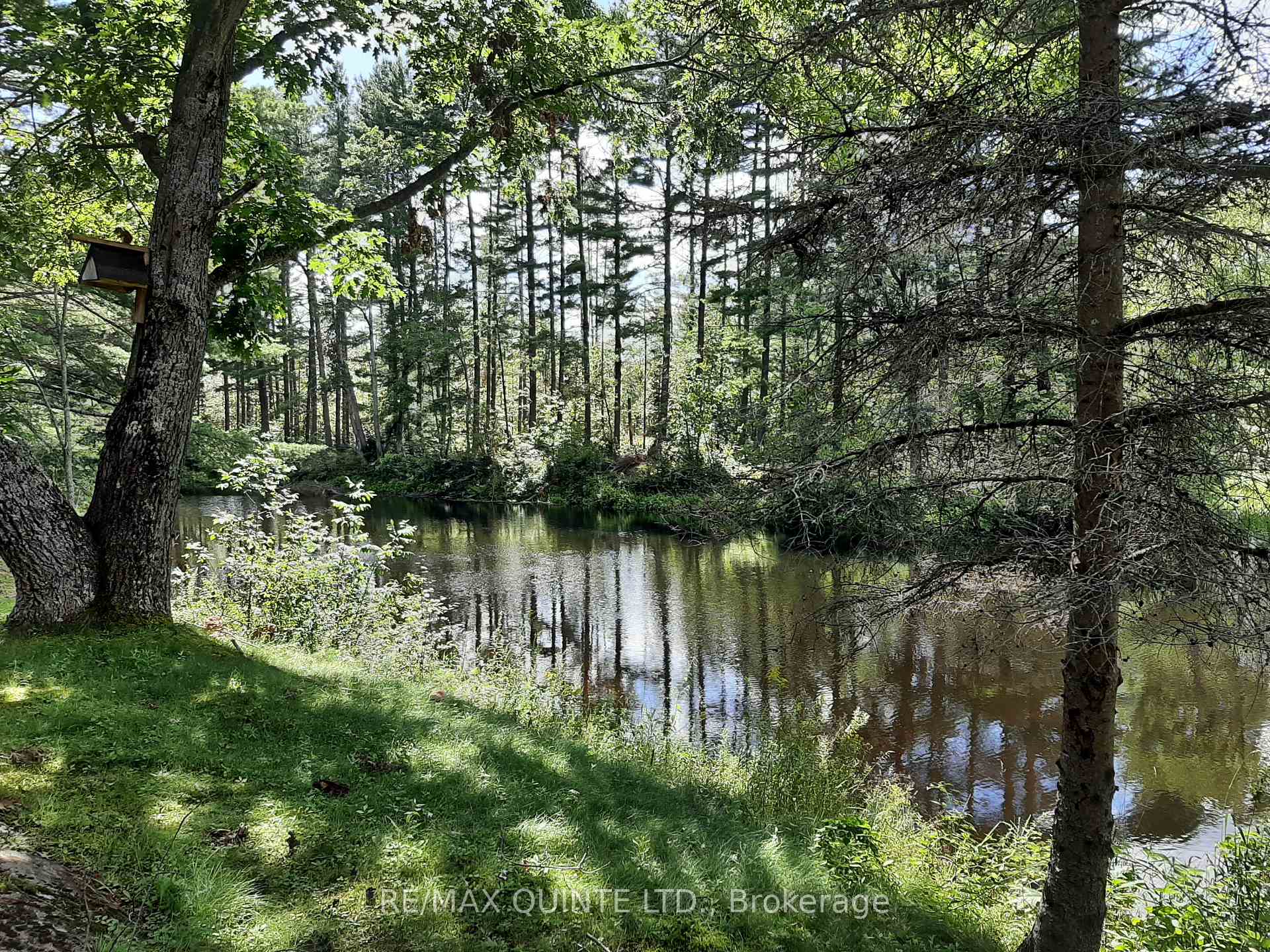 Photo 29 of 8187 Hwy 37, Tweed, Hungerford (Twp) — HOMEH