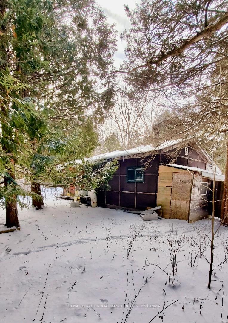 Photo 1 of PTLT 29 Meeks Road, Tweed, Hungerford (Twp) — HOMEH